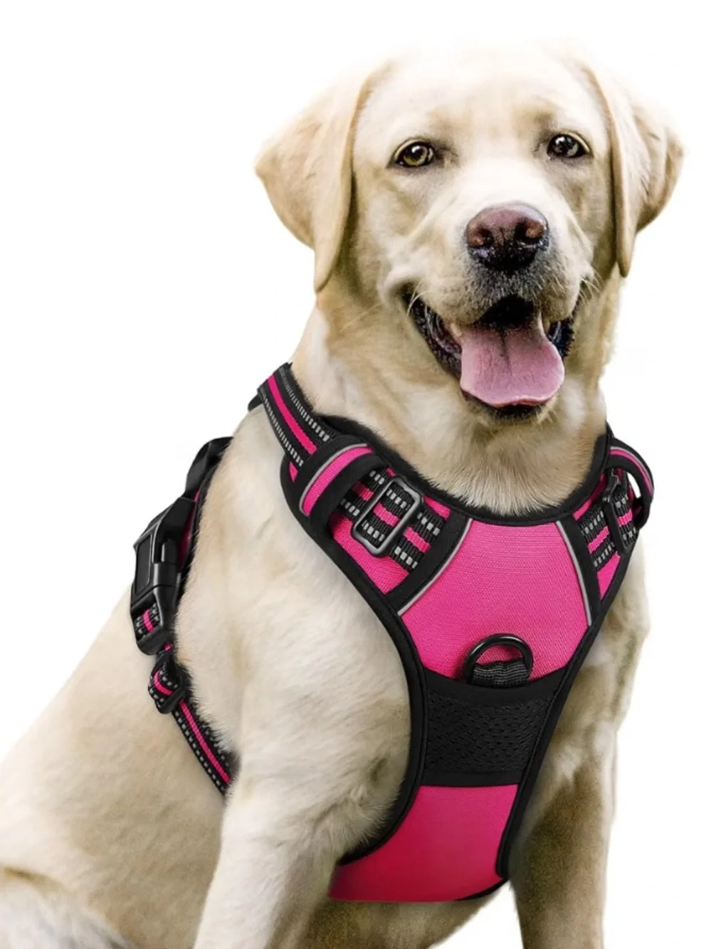 NWOT Hot Pink Reflective Padded Dog Harness